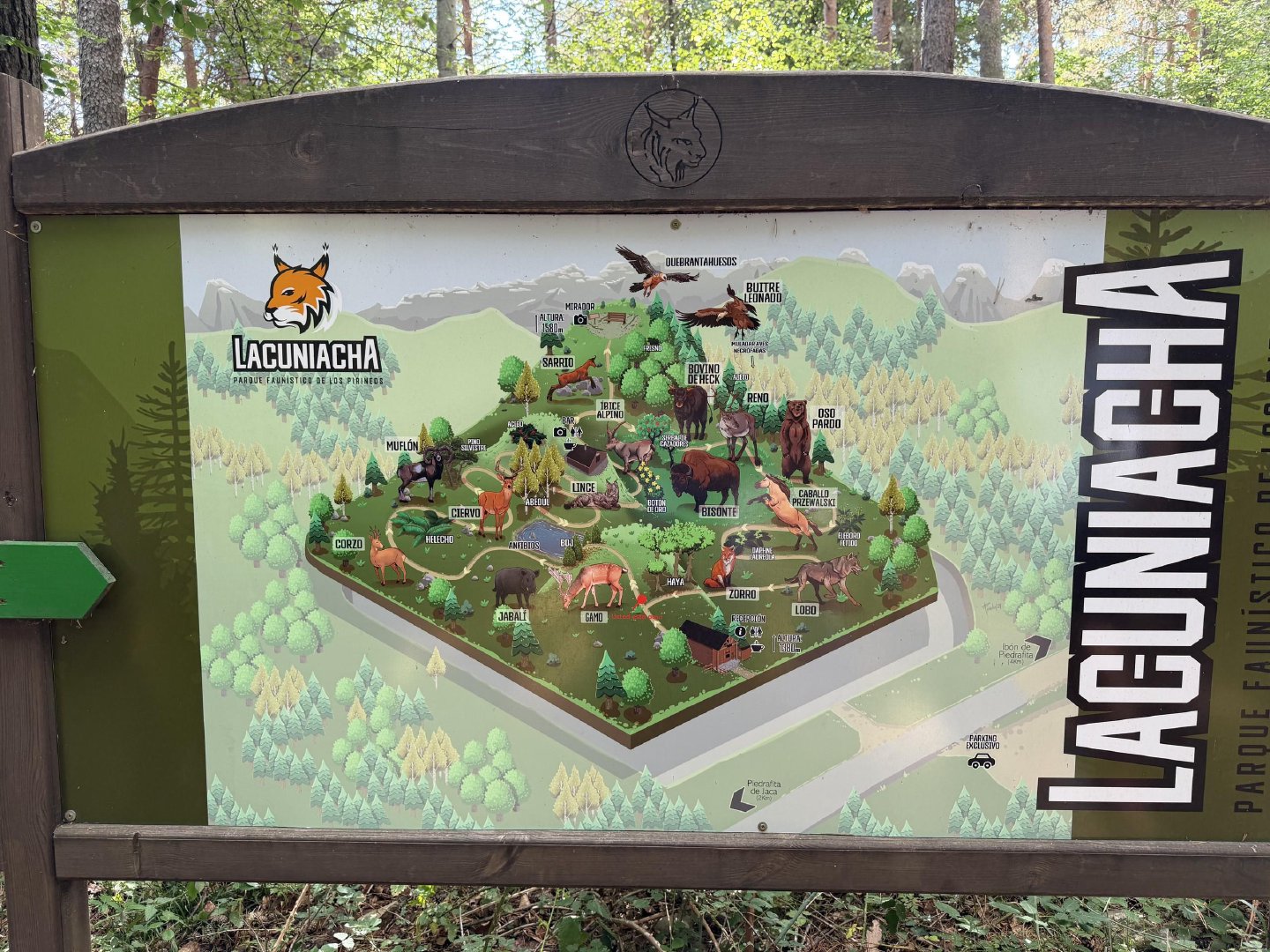Lacuniacha map